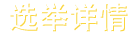 选举详情