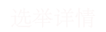 选举详情