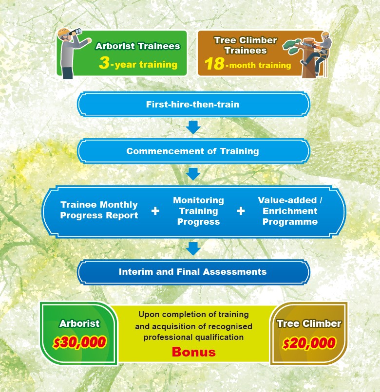 training details.jpg
