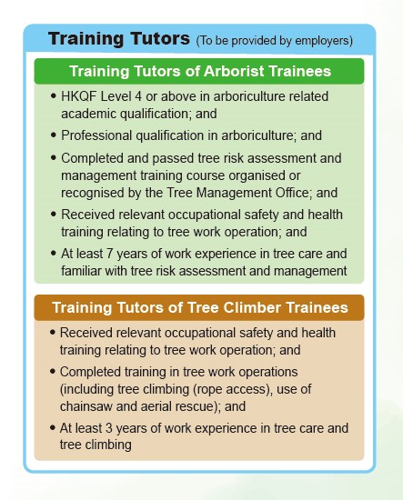 training tutor.jpg